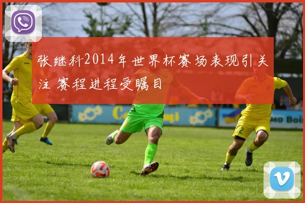 张继科2014年世界杯赛场表现引关注 赛程进程受瞩目