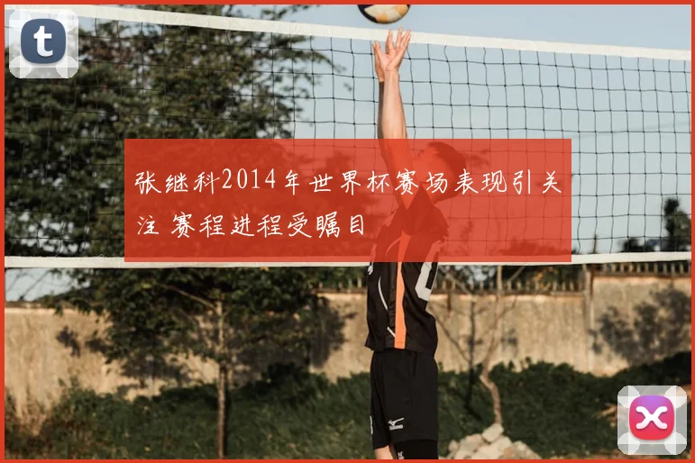 张继科2014年世界杯赛场表现引关注 赛程进程受瞩目