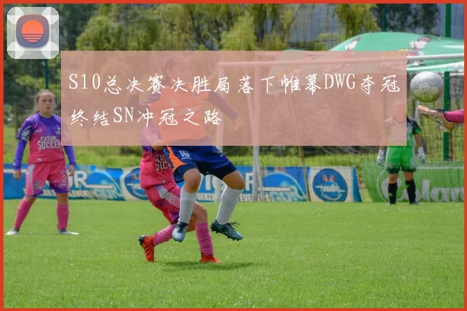 S10总决赛决胜局落下帷幕DWG夺冠终结SN冲冠之路